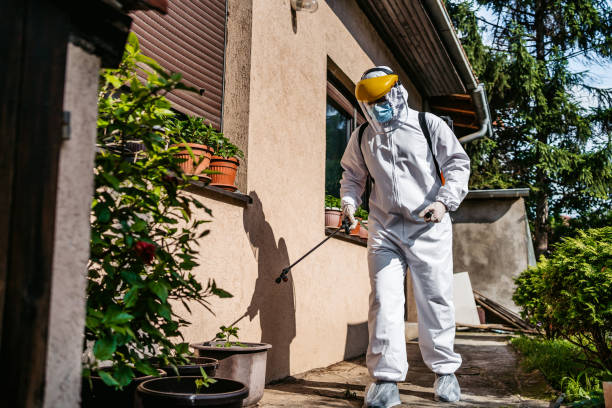 Best Best Pest Control Companies  in Xenia, OH