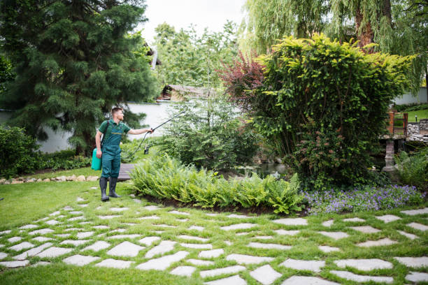 Best Pest Prevention Services  in Xenia, OH