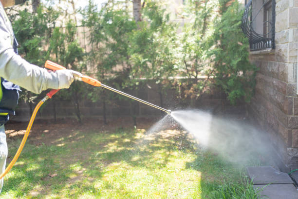Best Local Pest Control Services  in Xenia, OH