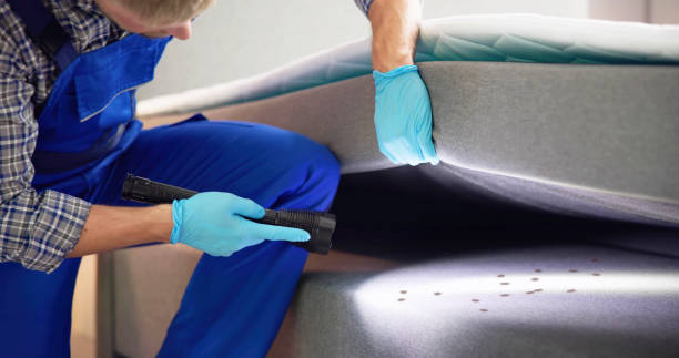 Best Mosquito Control Services  in Xenia, OH